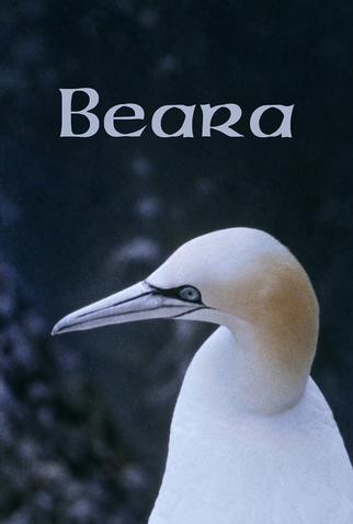 Poster 1 de Curta Beara (1979)