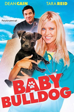 O Pequeno Bulldog (Baby Bulldog)