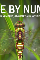 Nature By Numbers (Nature By Numbers)