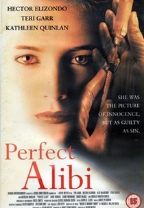 Um Álibi Perfeito (Perfect Alibi)