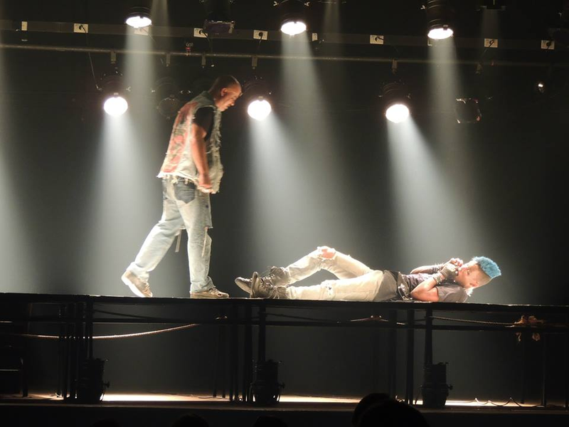 Foto 5 de Voar é com os Pássaros