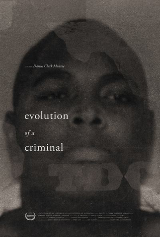 Poster 1 de Filme Evolution of a Criminal (2014)