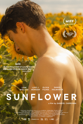 Poster 1 de Filme Sunflower (2023)