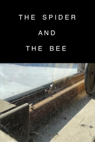 Poster 1 de Curta The Spider and the Bee (2020)
