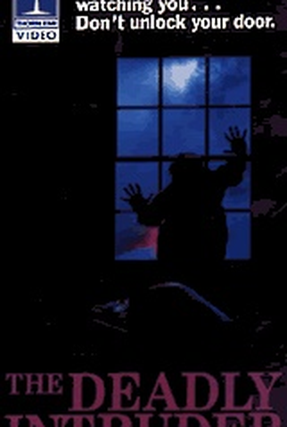 Poster 1 de Filme The Deadly Intruder (1988)