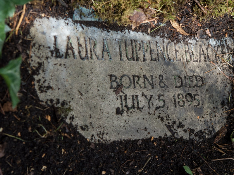 Foto 6 de O Quarto dos Esquecidos