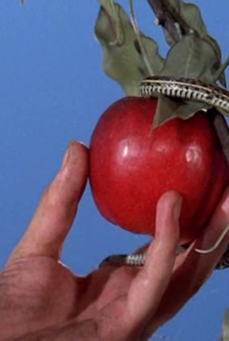 Poster 2 de Curta Gula (1986)