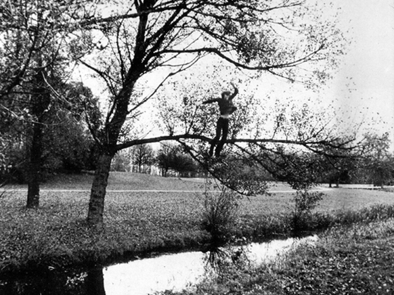 Foto 2 de Broken Fall (Organic)