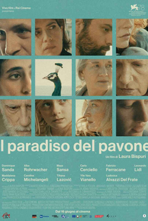 The Peacock's Paradise - Poster / Capa / Cartaz - Oficial 1