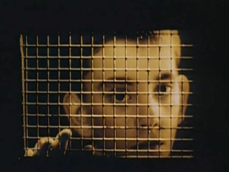 Foto 1 de Días sin luz