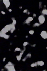 01.39411.999 (01.39411.999)