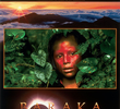 Baraka - Um Mundo Além das Palavras