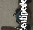 Centipede