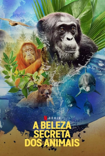 A Beleza Secreta dos Animais (2ª Temporada) - Poster / Capa / Cartaz - Oficial 1