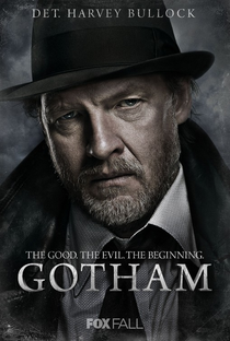 Gotham (1ª Temporada) - Poster / Capa / Cartaz - Oficial 8