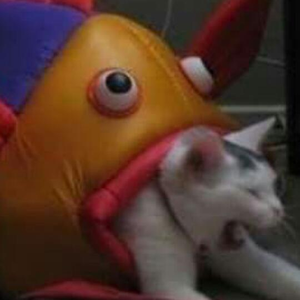 Foto de perfil de Mariana Curia