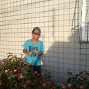 Foto de perfil de Lucas