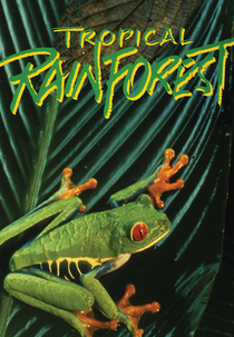 Tropical Rainforest (Tropical Rainforest)