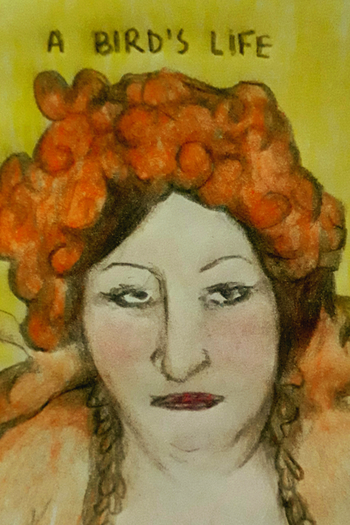 Poster de Curta Vida de passarinho (1973)