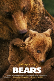 Ursos - Poster / Capa / Cartaz - Oficial 1