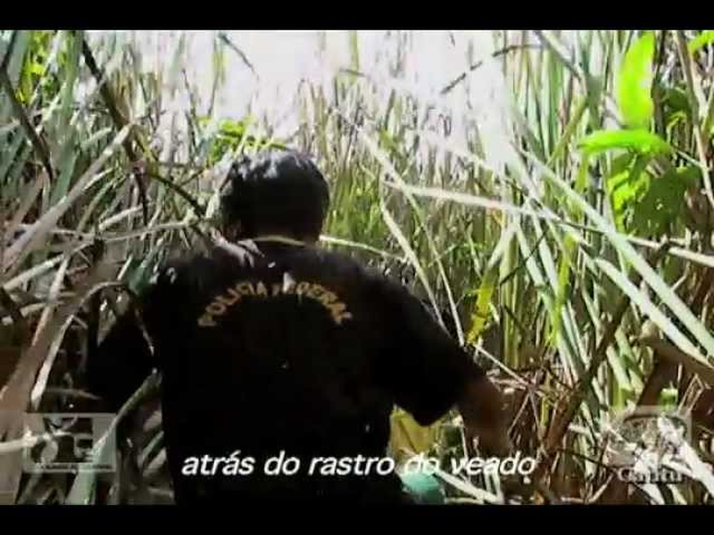 Foto 1 de Caçando Capivara