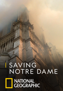 Reconstrução da Catedral de Notre Dame (Saving Notre Dame)