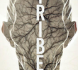 Tribe