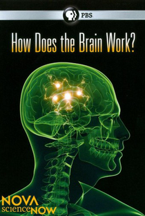 How Does the Brain Work? - Poster / Capa / Cartaz - Oficial 1