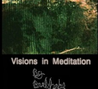 Visions In Meditation #1