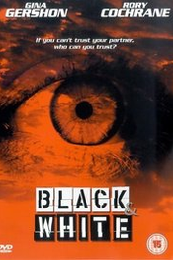 Poster de Filme Bala na Agulha (1999)