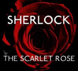 Sherlock - The Scarlet Rose