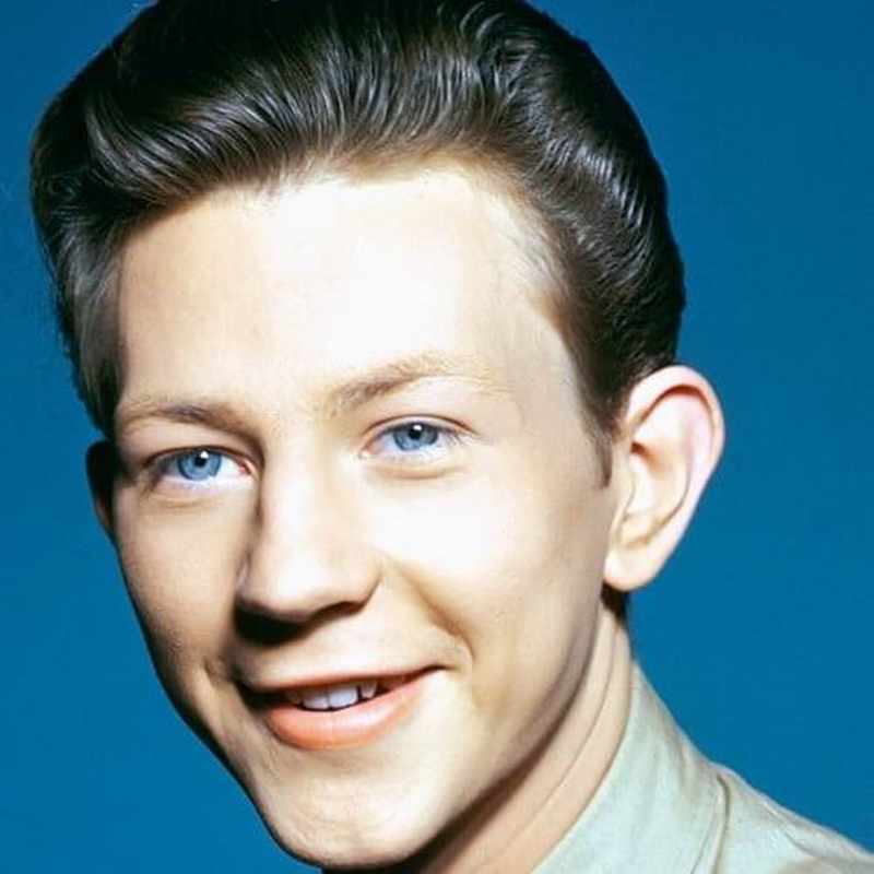 Donald O'Connor - Foto 1