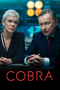 Cobra (1ª Temporada) - Poster / Capa / Cartaz - Oficial 1