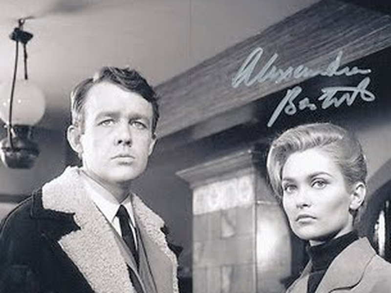 Foto 6 de The Champions