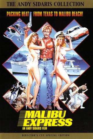 Poster 3 de Filme Expresso Malibu (1985)