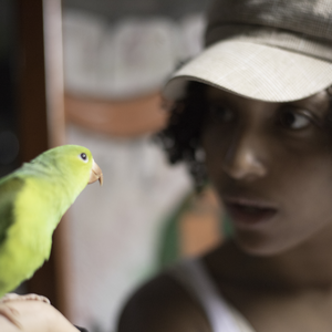 Foto de perfil de Caroline