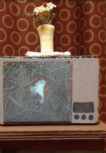 My Childhood Nightmare (Mano vaikystes kosmaras)