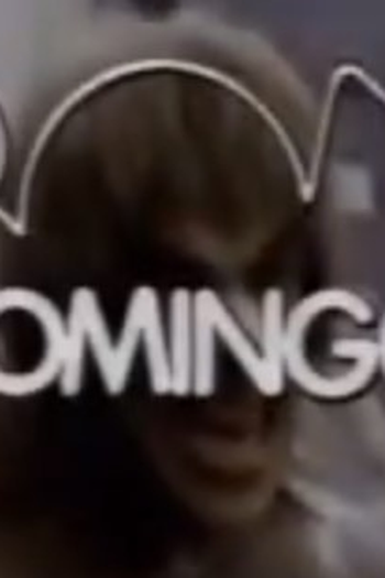 Poster de TV Bom Domingo (1982)