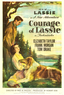 A Coragem de Lassie - Poster / Capa / Cartaz - Oficial 2