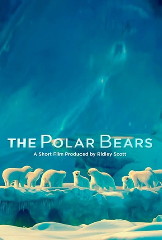 Poster 1 de Curta The Polar Bears (2013)