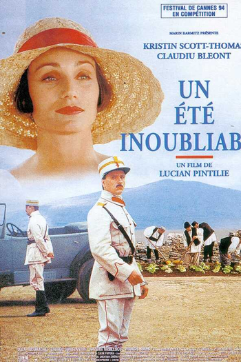 Poster de Filme Um Verão Inesquecível  (1994)