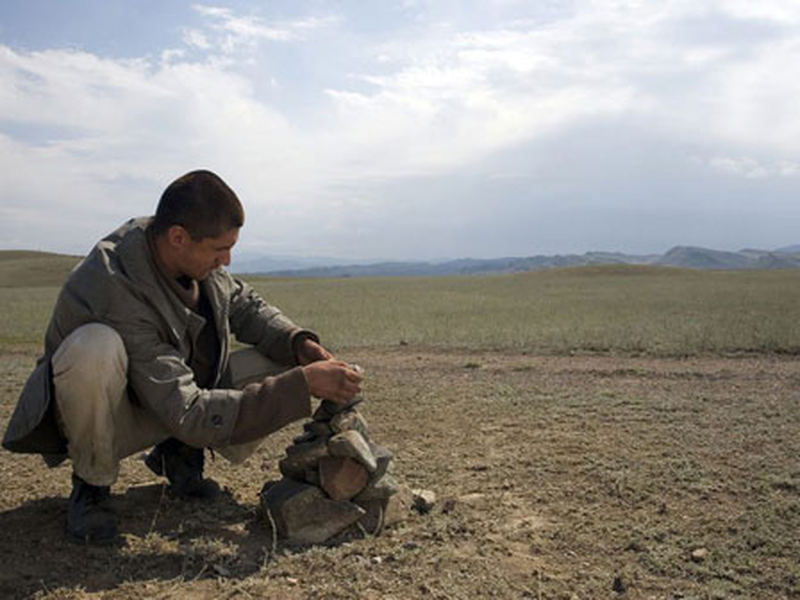 Foto 8 de Dikoe pole    ( Wild Field )