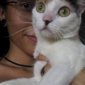 Foto de perfil de Ana Paula Teixeira