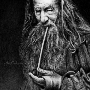 Foto de perfil de Bruno