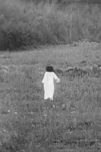 Poster de Curta Lurk (1965)