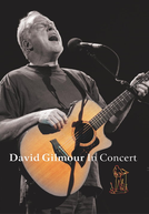 David Gilmour In Concert (David Gilmour In Concert)