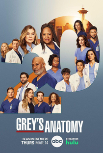 Anatomia de Grey (20ª Temporada) - Poster / Capa / Cartaz - Oficial 1