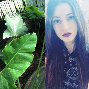 Foto de perfil de Ana Caroline