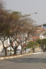 Vila Prudente (Vila Prudente)