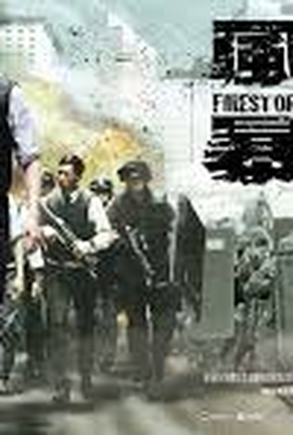 Poster 9 de Filme Tempestade de Fogo (2013)